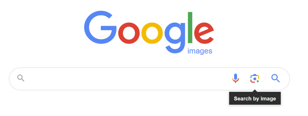 Google reverse image search