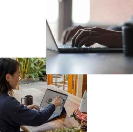 People using laptops