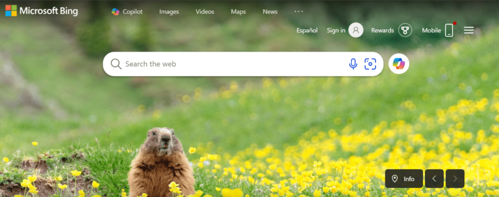 Bing website