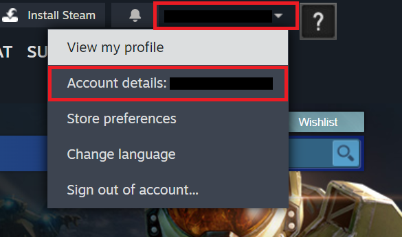 Steam account details